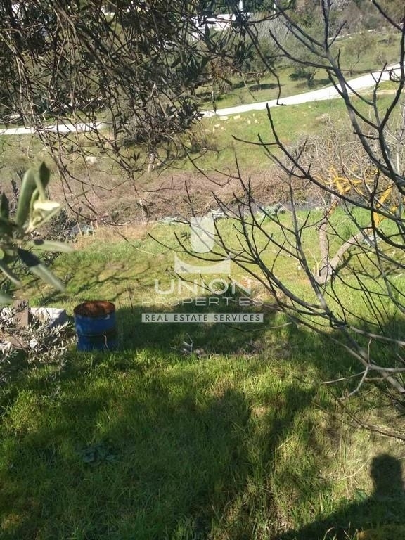 (For Rent) Land Plot || Athens North/Melissia - 2.500 Sq.m, 1.200€ 