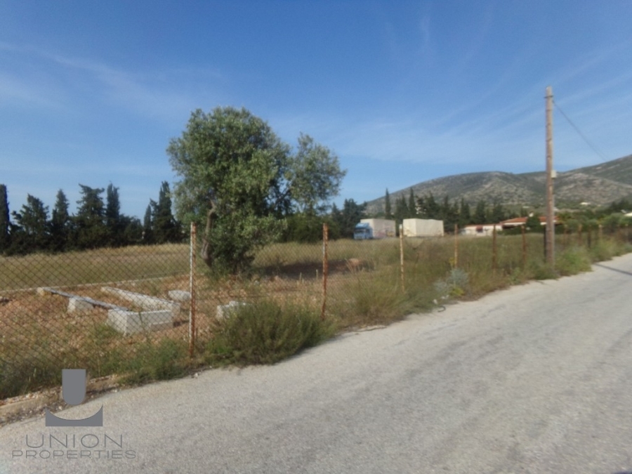 (用于出租) 建设用地 地块 || East Attica/Kalyvia-Lagonisi - 6.993 平方米, 3.500€ 
